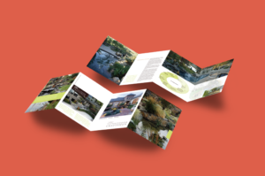 Landscape architecture branding Outdoor living spaces logo Luxury garden design Colorado landscape firm Outdoor Craftsmen case study AgencyBEL branding project Creative landscape design Premium landscape services Full-service exterior development Landscape architecture marketing