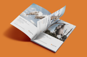 Northbridge Financial Better Together: Emphasizes the synergy and mutual benefits of the partnership between Northbridge and brokers.