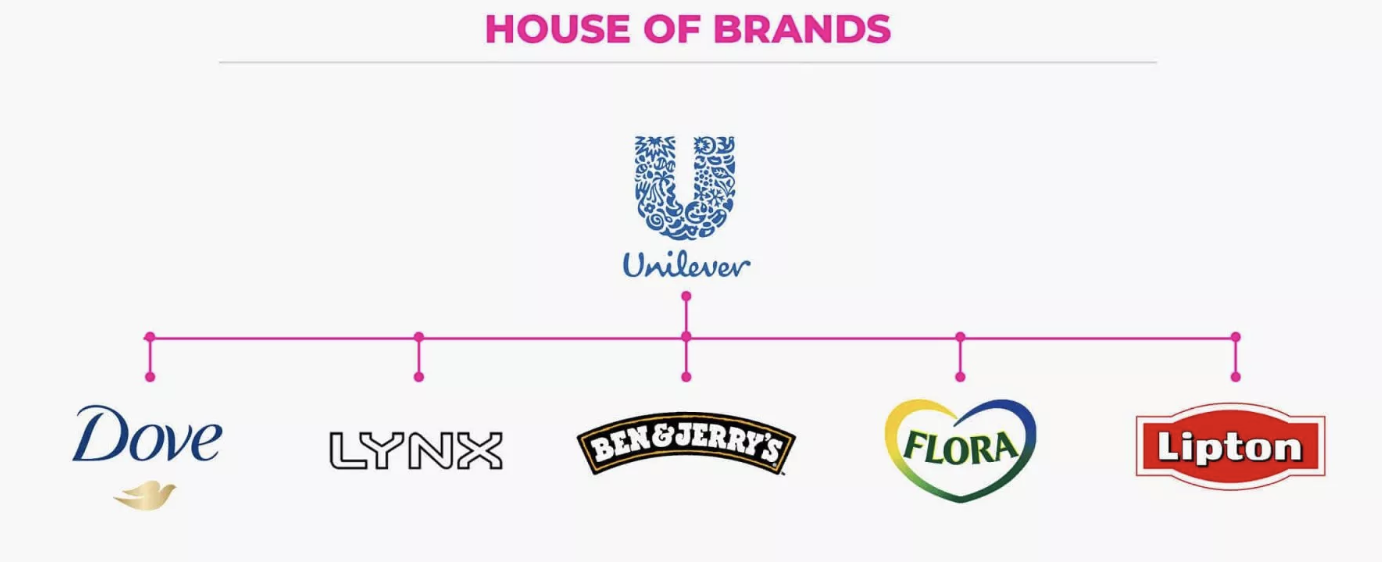 Unilever is one of the biggest and most well-known examples of a house of brands and although most consumers recognize their sub-brands, the vast majority don’t know the Unilever brand. That’s because the House Of Brands structure offers the freedom of sub-brands to build their own brand equity without reference to the master brand. Unilever owns over 400 sub-brands